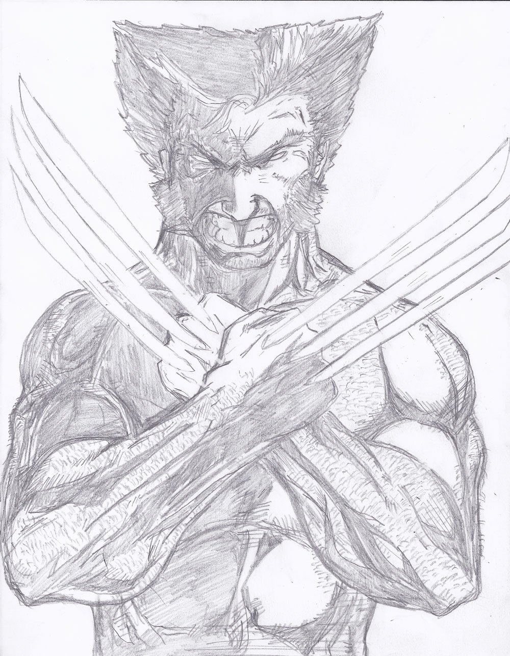 Wolverine in the shadows